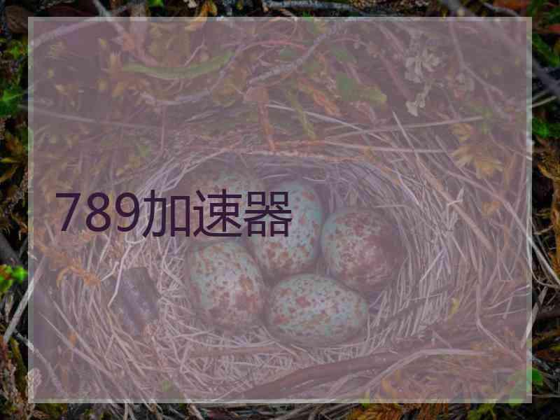 789加速器