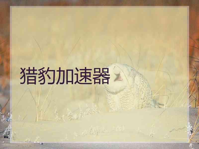 猎豹加速器