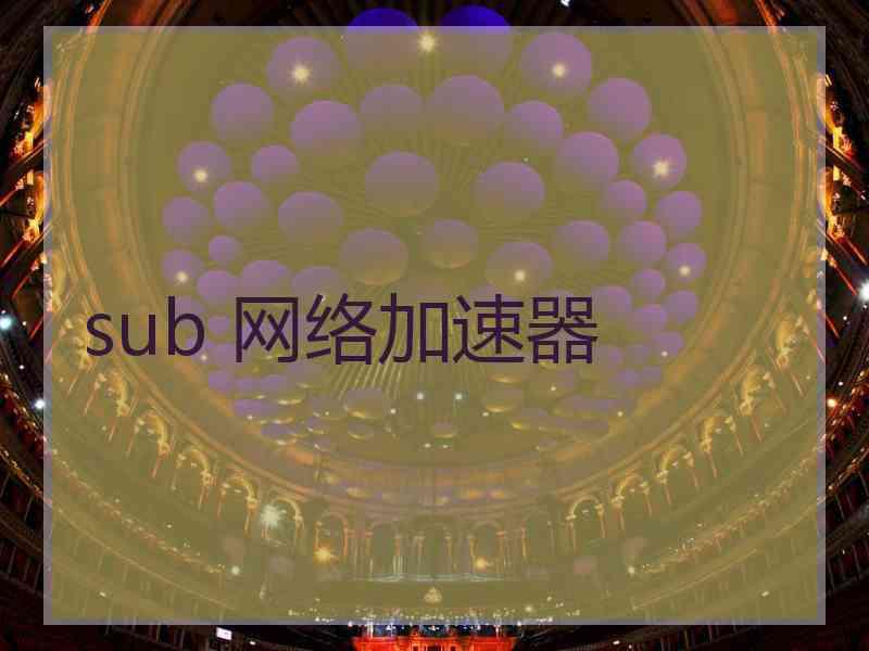 sub 网络加速器
